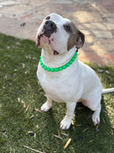 Load image into Gallery viewer, Kelly Green Glow in the Dark Acrylic Bead Collar