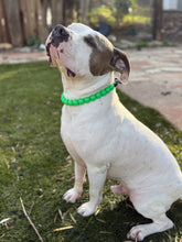 Load image into Gallery viewer, Kelly Green Glow in the Dark Acrylic Bead Collar