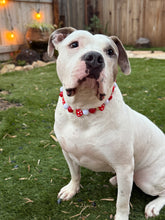 Load image into Gallery viewer, Red Mushroom š Bead Collar