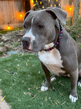 Load image into Gallery viewer, Violet Sage Agate Semi-precious Gem Bead Collar