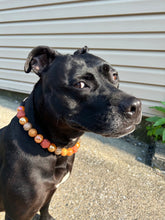 Load image into Gallery viewer, Autumn Leaves š Bead Collar