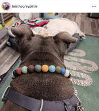 Load image into Gallery viewer, Lava Rock Bead Collar