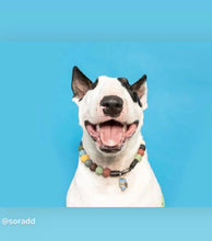 Load image into Gallery viewer, Lava Rock Bead Collar