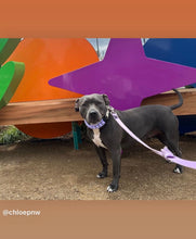 Load image into Gallery viewer, Lavender Rain Triplo Acrylic Bead Collar