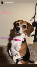 Load image into Gallery viewer, Magenta Glow Acrylic Bead Collar