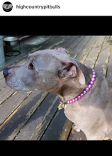Load image into Gallery viewer, š§ 19.5" Slip On (Rose Gold O-Ring) Mini Orchid Purple Pearl Bead Collar - PRE-MADE/FINAL SALE