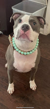 Load image into Gallery viewer, Minty Sage Acrylic Bead Collar - SALE