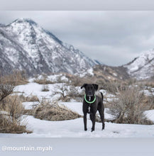 Load image into Gallery viewer, Minty Sage Acrylic Bead Collar - SALE