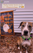 Load image into Gallery viewer, Monster Bash Bead Collar