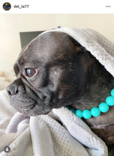 Load image into Gallery viewer, Neon Turquoise Acrylic Bead Collar