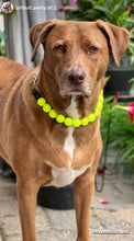 Load image into Gallery viewer, Neon Highlighter Yellow Acrylic Bead Collar