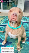 Load image into Gallery viewer, Neon Turquoise Acrylic Bead Collar