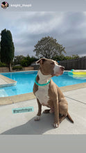 Load image into Gallery viewer, Neon Turquoise Acrylic Bead Collar