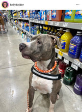 Load image into Gallery viewer, Orange Speckle Ceramic Bead Collar
