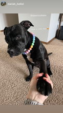Load image into Gallery viewer, Pastel Rainbow Acrylic Bead Collar