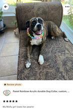 Load image into Gallery viewer, Pastel Rainbow Acrylic Bead Collar