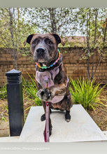 Load image into Gallery viewer, Pastel Rainbow Acrylic Bead Collar
