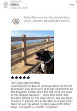 Load image into Gallery viewer, Pastel Rainbow Acrylic Bead Collar