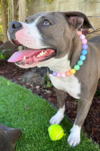 Load image into Gallery viewer, Pastel Rainbow Acrylic Bead Collar