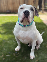 Load image into Gallery viewer, Technicolor Glitter Bead Collar