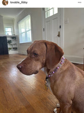 Load image into Gallery viewer, Pink & Purple Crystal Flowers 🌸 Acrylic Bead Collar