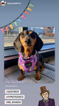Load image into Gallery viewer, Pink & Purple Crystal Flowers 🌸 Acrylic Bead Collar