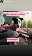 Load image into Gallery viewer, Pink Sugar Bead Collar