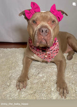 Load image into Gallery viewer, Pink Sugar Bead Collar