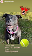 Load image into Gallery viewer, Pink Sugar Bead Collar