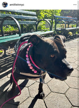 Load image into Gallery viewer, Pink Sugar Bead Collar