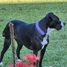 Load image into Gallery viewer, Purple Rain Triplo Acrylic Bead Collar