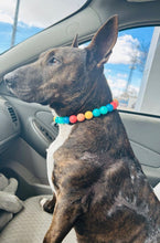 Load image into Gallery viewer, Rainbow Surf Acrylic Bead Collar