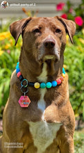 Load image into Gallery viewer, Rainbow Surf Acrylic Bead Collar