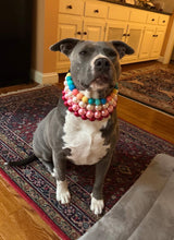 Load image into Gallery viewer, Rainbow Surf Acrylic Bead Collar