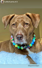 Load image into Gallery viewer, Rainbow Tie Dye Acrylic Bead Collar
