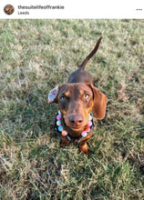 Load image into Gallery viewer, Rainbow Tie Dye Acrylic Bead Collar