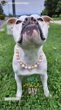 Load image into Gallery viewer, Rose Gold Champagne Bead Collar