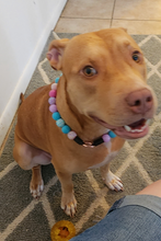 Load image into Gallery viewer, Unicorn Glam 🦄 Bead Collar