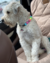 Load image into Gallery viewer, Neon Rainbow š Bead Collar