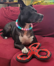 Load image into Gallery viewer, Bubblegum Acrylic Bead Collar