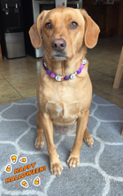 Load image into Gallery viewer, Purple Boo š» Halloween Glow Bead Collar