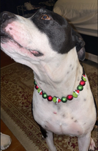 Load image into Gallery viewer, Grinchmas š Bead Collar