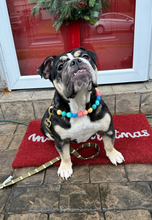 Load image into Gallery viewer, Rainbow Surf Acrylic Bead Collar