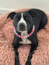 Load image into Gallery viewer, Pink Sugar Bead Collar