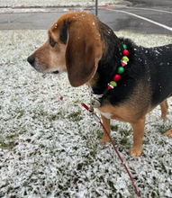 Load image into Gallery viewer, Grinchmas š Bead Collar