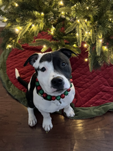 Load image into Gallery viewer, Christmas Frost Bead Collar