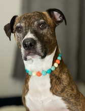 Load image into Gallery viewer, Surfside Acrylic Bead Collar