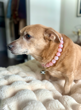 Load image into Gallery viewer, Pink Glitter ✨ Resin Bead Collar
