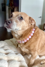 Load image into Gallery viewer, Pink Glitter ✨ Resin Bead Collar