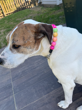 Load image into Gallery viewer, Boho Rainbow Acrylic Bead Collar